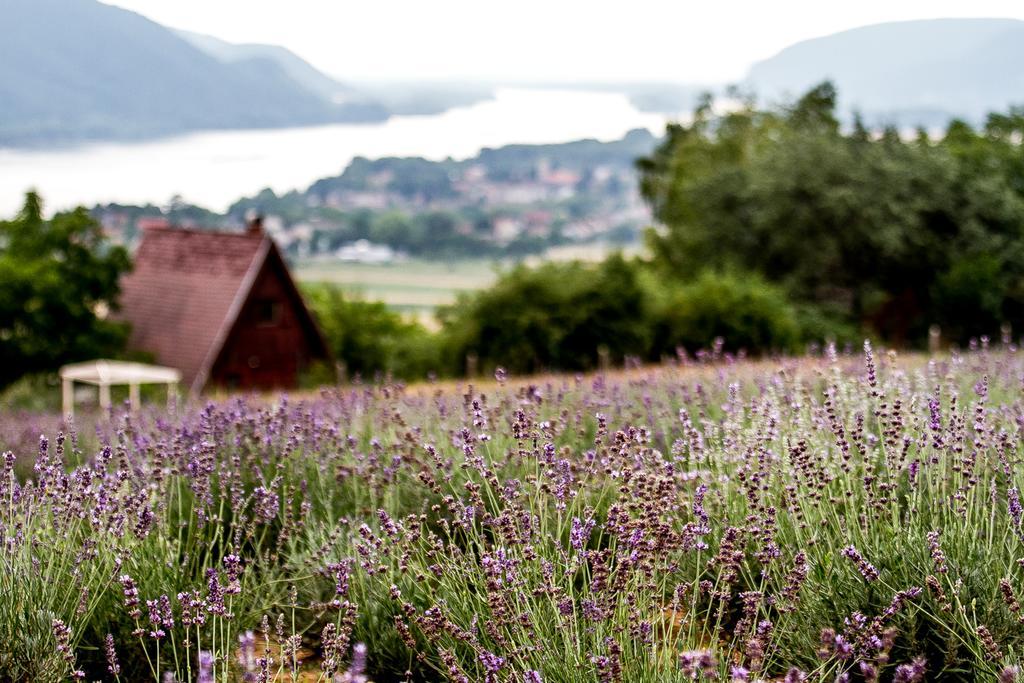 ホテル Natura Hill Panzio & Slow Food Fine Bistro Zebegény エクステリア 写真